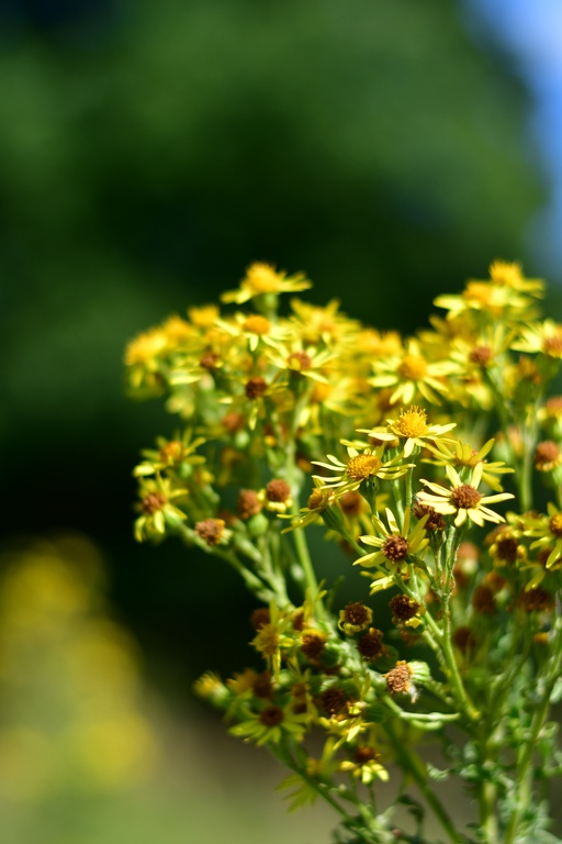 2018-08-04 Nottingham/Wollaton Hall/DSC_3838.JPG